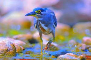 曼联英超联赛冠军次数，从1968到现在的辉煌历程曼联英超联赛冠军多少次