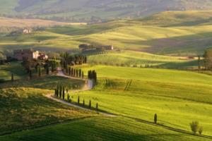 英超联赛杯，冠军的荣耀与挑战英超联盟的联赛杯有哪些